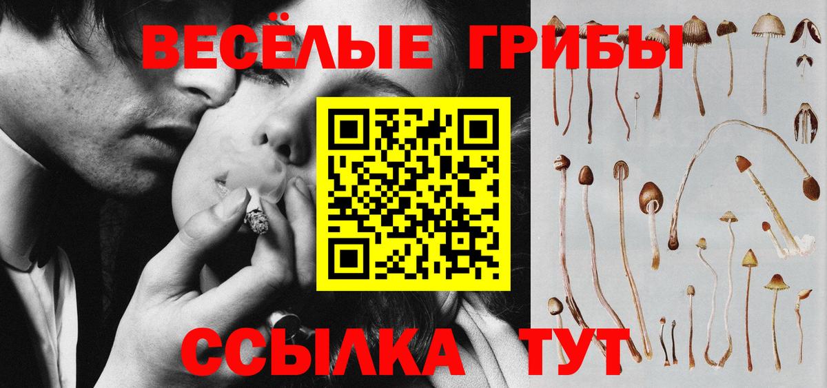Галлюциногенные грибы MAGIC MUSHROOMS Лениногорск